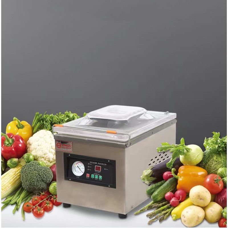 Vacuum Packing Machine Factory - Automatic Food Sealing