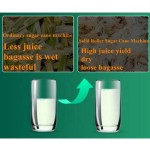 Desktop Juicer Factory - Manual Small Home Hotel Use