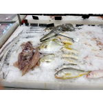 Flake Ice Maker Manufacturer - 200-500kg Hot Sales Commercial