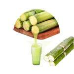 Tabletop Juicer Supplier - Industrial Automatic 350W Motorized