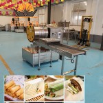 Spring Roll Machine Factory - High Productivity Electric Oven
