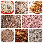 Almond Peeling Machine Supplier - Bean Skin Removing