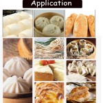 Dough Rolling Machine Manufacturer - Automatic Table Top