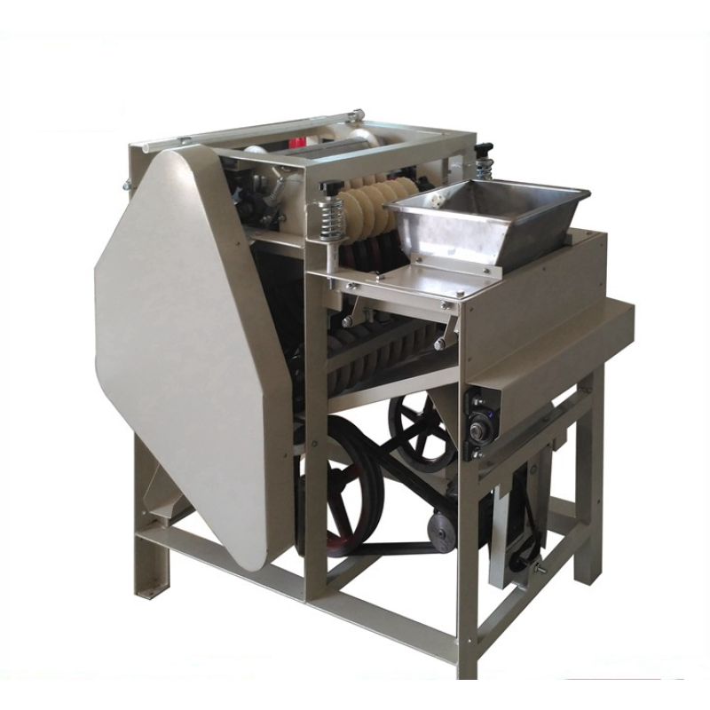 Wet Peeling Machine Manufacturer - CE Certified Almond