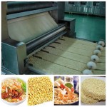 Instant Noodle Machine Factory - Automatic Professional Fried