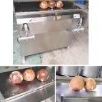 Coconut Desheller Manufacturer - Automatic Peeling Machine