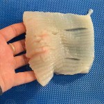 Squid Cutter Supplier - Ring Roller Machine