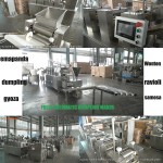 Dumpling Machine Supplier - Automatic Multifunction Pierogi