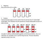 Dengue IgG IgM and NS1 Combo Test Cassette WB S P for Rapid Dengue Detection