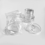 150mm X 15mm Disposable Petri Dish: Ideal for Laboratory Applications