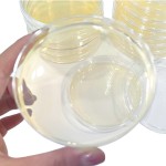 Sterile 90mm Disposable Petri Dishes Round Glass and Plastic Polypropylene for Laboratory Use