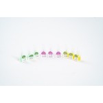 Disposable Sterile 32G 4mm Insulin Pen Needles for Painless Medical Injection