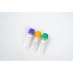 Non-Vacuum Micro Blood Tube with Capillary (EDTA/Clot/Plain, PP 0.5ml, 8 * 45mm)