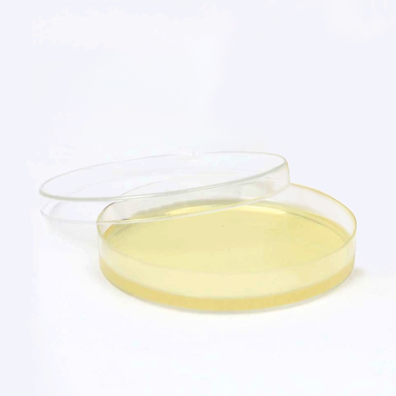 150mm X 15mm Disposable Petri Dish: Ideal for Laboratory Applications