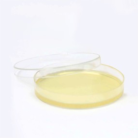 Sterile 90mm Disposable Petri Dishes Round Glass and Plastic Polypropylene for Laboratory Use