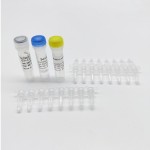 Real-time Monkeypox Pcr Kit Rapid Detection Monkey Pox Monkeypox Rapid Test Kit