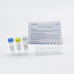 Real-time Monkeypox Pcr Kit Rapid Detection Monkey Pox Monkeypox Rapid Test Kit