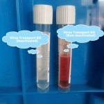 Disposable Virus Sampling Tube Nasal Swab Throat Swab Virus Sample Collection