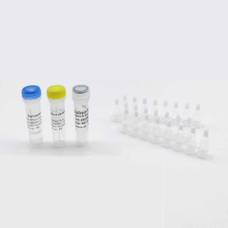 Real-time Monkeypox Pcr Kit Rapid Detection Monkey Pox Monkeypox Rapid Test Kit