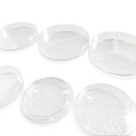 150mm X 15mm Disposable Petri Dish: Ideal for Laboratory Applications
