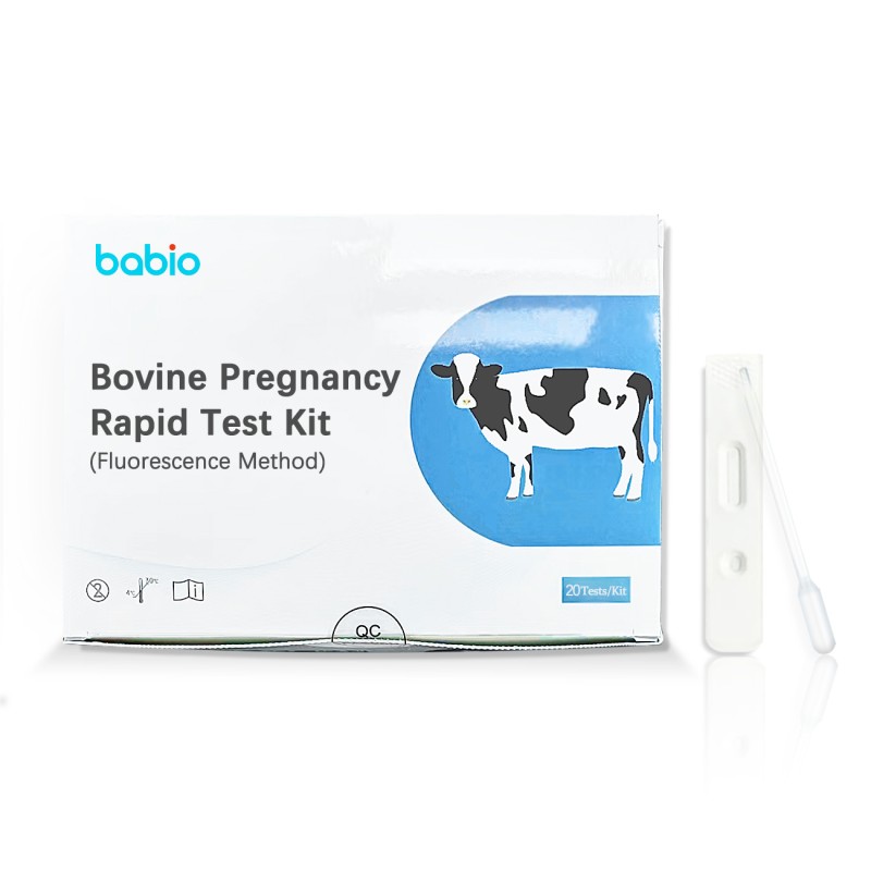 CE Certified Pregnancy Testing Cassette for Cow with Rapid Detection