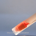 Collection Set Tube Nasopharyngeal Specimen Collection Swab for Oral/nasal Virus Testing