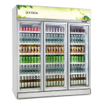 Display Freezer Manufacturer - Direct Cooling 3 Door