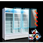 Display Freezer Manufacturer - Direct Cooling 3 Door