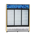 Display Freezer Manufacturer - Direct Cooling 3 Door