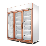 Display Freezer Manufacturer - Direct Cooling 3 Door