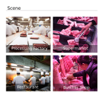 Commercial Bone Saw Factory - Butcher Frozen Meat Cutter