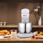 Spiral Dough Mixer Manufacturer - Customizable 30L Industrial Double-Speed