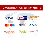 Gas Range Supplier - Freestanding Six Burner With Oven