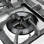 Gas Stove Manufacturer - Portable 6 Burner With Oven