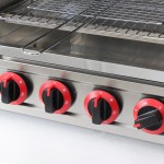 Gas Salamander Manufacturer - Commercial Cooking Equipment LPG Natural