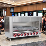 Gas Pizza Oven Supplier - BAOKANG Commercial Fish Grill Removable