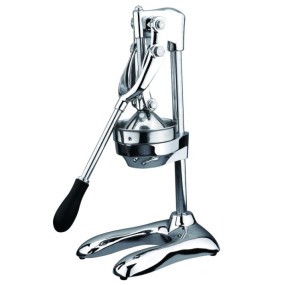 Cold Press Juicer Factory - Commercial Semi-Automatic Multifunction