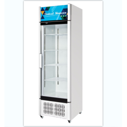 Display Freezer Manufacturer - Commercial Refrigerator 1 Glass Door