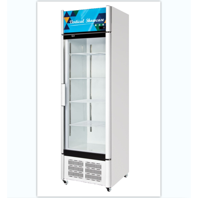 Display Freezer Manufacturer - Commercial Refrigerator 1 Glass Door