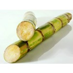 Commercial Mixer Supplier - Guangzhou Factory Wholesale Heavy Duty