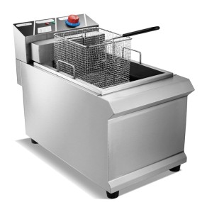 Electric Fryer Manufacturer - TeRun Industrial Professional Stainless