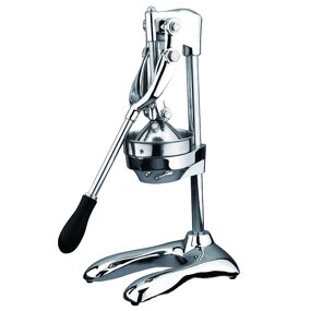 Orange Juicer Manufacturer - Commercial Electric Centrifugal Mixing