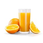 Fruit Juicer Supplier - Commercial Electric Centrifugal Extractor