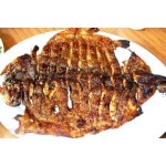 Salamander Grill Manufacturer - Counter Top Electric Lift Commercial