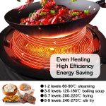 Concave Induction Manufacturer - 5000W Hob Cooktops Electric Wok
