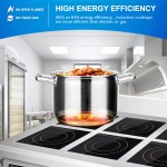 Industrial Cooker Supplier - 4-6 Burner Hobs Russia Electrical