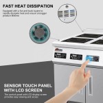 Industrial Cooker Supplier - 4-6 Burner Hobs Russia Electrical