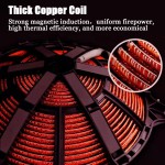 Pasta Boiler Supplier - Auto Lift Noodle Cooker Induction