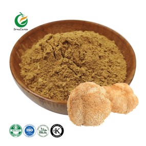 Wholesale Bulk Organic Hericium Erinaceus Extract Powder Lions Mane Mushroom Extract
