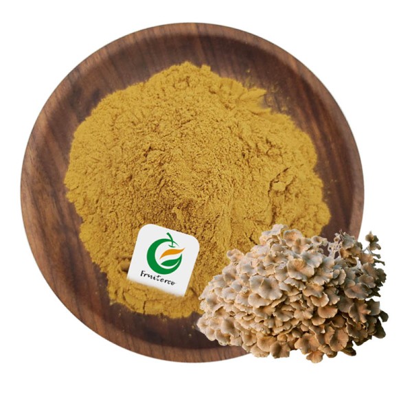 Factory Supply Bulk High Quality Polyporus Umbellatu Extract 50% Polysaccharide Powder Polyporus Umbellatu Powder